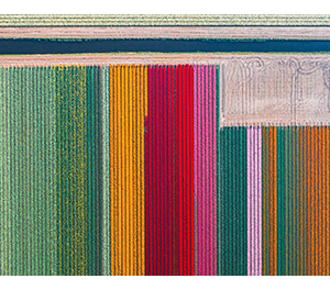 Fujitsu ETERNUS Multipath Driver